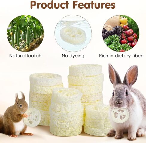 veemoon 20pcs الهامستر الأرنب لعبة مضغ الحيوانات الأليفة، اللوف الطبيعي الحيوانات الصغيرة مضغ أداة الحيوانات الأليفة لعبة المولي لخنزير غينيا شينشيلا الهامستر الفئران تنظيف الأسنان والعناية بالفم الإجهاد الإغاثة الترفيه in Kuwait