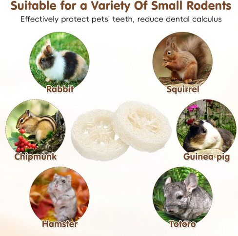 veemoon 20pcs الهامستر الأرنب لعبة مضغ الحيوانات الأليفة، اللوف الطبيعي الحيوانات الصغيرة مضغ أداة الحيوانات الأليفة لعبة المولي لخنزير غينيا شينشيلا الهامستر الفئران تنظيف الأسنان والعناية بالفم الإجهاد الإغاثة الترفيه in Kuwait