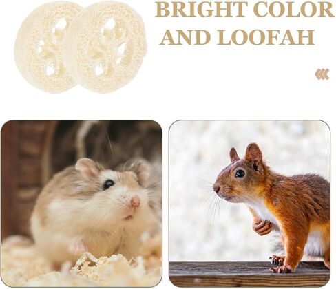 veemoon 20pcs الهامستر الأرنب لعبة مضغ الحيوانات الأليفة، اللوف الطبيعي الحيوانات الصغيرة مضغ أداة الحيوانات الأليفة لعبة المولي لخنزير غينيا شينشيلا الهامستر الفئران تنظيف الأسنان والعناية بالفم الإجهاد الإغاثة الترفيه in Kuwait