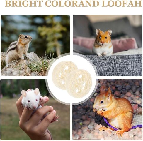 veemoon 20pcs الهامستر الأرنب لعبة مضغ الحيوانات الأليفة، اللوف الطبيعي الحيوانات الصغيرة مضغ أداة الحيوانات الأليفة لعبة المولي لخنزير غينيا شينشيلا الهامستر الفئران تنظيف الأسنان والعناية بالفم الإجهاد الإغاثة الترفيه in Kuwait