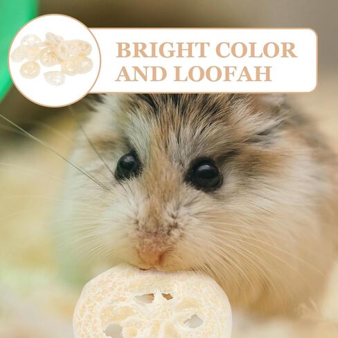 veemoon 20pcs الهامستر الأرنب لعبة مضغ الحيوانات الأليفة، اللوف الطبيعي الحيوانات الصغيرة مضغ أداة الحيوانات الأليفة لعبة المولي لخنزير غينيا شينشيلا الهامستر الفئران تنظيف الأسنان والعناية بالفم الإجهاد الإغاثة الترفيه in Kuwait