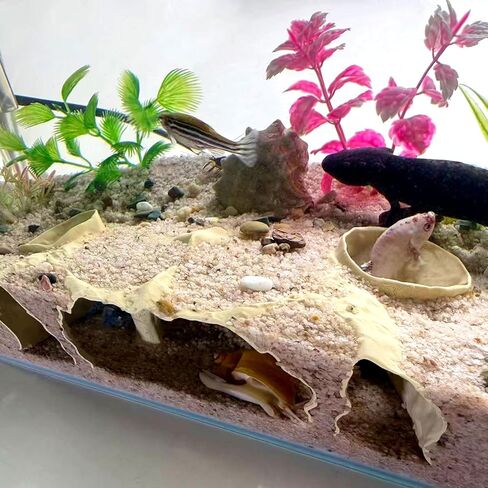 Aquarium Hidden cave，Small Bottom-Dwelling Fish&Shrimp Safe Hiding Hole，Underground Double-Hole Hiding Tunnel，3D Printed， Fish Tank Decoration Accessories (Large Size) (Wood Color) in Saudi Arabia