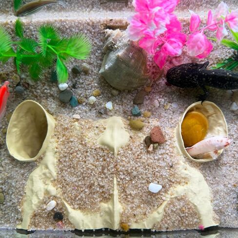 Aquarium Hidden cave，Small Bottom-Dwelling Fish&Shrimp Safe Hiding Hole，Underground Double-Hole Hiding Tunnel，3D Printed， Fish Tank Decoration Accessories (Large Size) (Wood Color) in Saudi Arabia