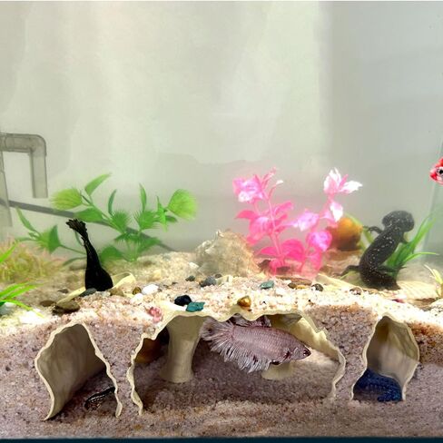 Aquarium Hidden cave，Small Bottom-Dwelling Fish&Shrimp Safe Hiding Hole，Underground Double-Hole Hiding Tunnel，3D Printed， Fish Tank Decoration Accessories (Large Size) (Wood Color) in Saudi Arabia