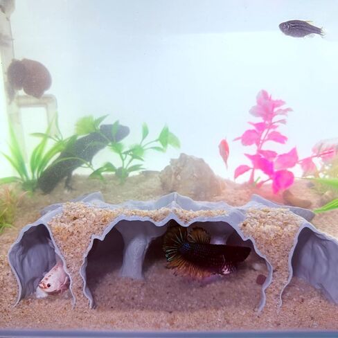 Aquarium Hidden cave，Small Bottom-Dwelling Fish&Shrimp Safe Hiding Hole，Underground Double-Hole Hiding Tunnel，3D Printed， Fish Tank Decoration Accessories (Large Size) (Wood Color) in Saudi Arabia