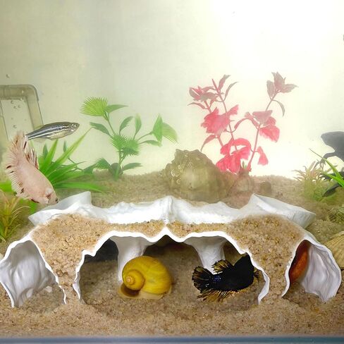 Aquarium Hidden cave，Small Bottom-Dwelling Fish&Shrimp Safe Hiding Hole，Underground Double-Hole Hiding Tunnel，3D Printed， Fish Tank Decoration Accessories (Large Size) (Wood Color) in Saudi Arabia