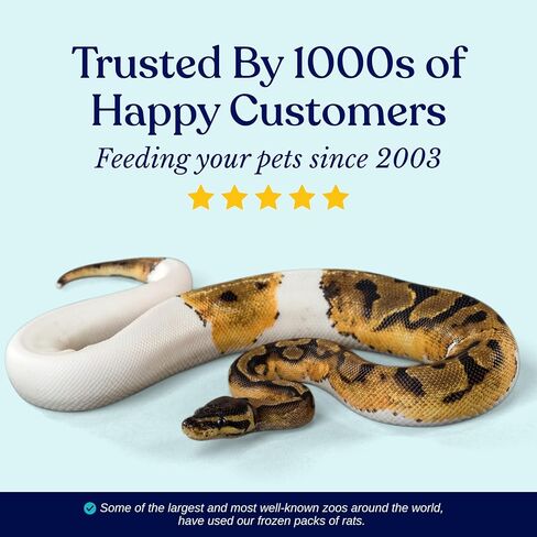 MiceDirect EST. 2003 20 Frozen Mice Small Adult Feeders Snake Food for Juvenile Red Tail Boas Ball Pythons Adult Sand Boas Milks Corn (2.5-3 in) (380 Grams Min) in Saudi Arabia