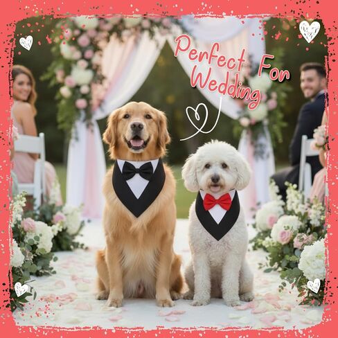 4 Pcs Valentine Formal Dog Tuxedo Sets with Bowtie Wedding Dog Bandana Collar with Nylon Leash Wedding Outfit Suit Adjustable Pet Party Costumes for Birthday(Black,Red,Large:21"-24.5") in Saudi Arabia