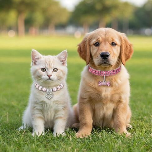 الكلب اللؤلؤ قلادة حجر الراين طوق، قابل للتعديل لؤلؤة القط الكلب طوق بلينغ الماس الكريستال القط قلادة حفل زفاف الحيوانات الأليفة مجوهرات اكسسوارات للفتيات الصغيرة القطط الكلاب (S) in Kuwait