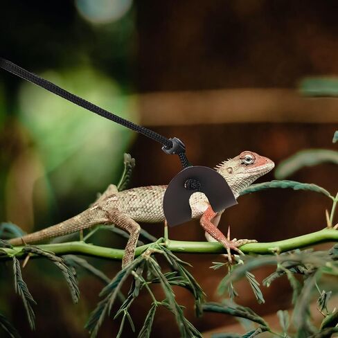 GANAZONO Adjustable Wear-Resistant Lizard Leash Harness for Small Reptiles, Outdoor Gecko Harness Suitable for Bearded Dragons and Other Small Pets in Saudi Arabia