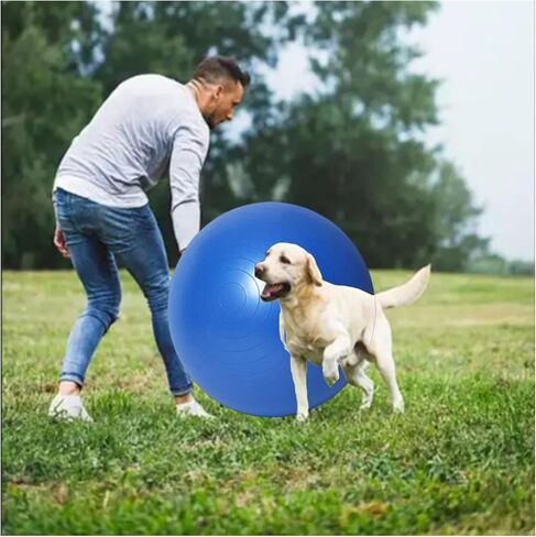 كرة رعي الكلاب من مواتر، مقاس كبير 25 بوصة in Kuwait