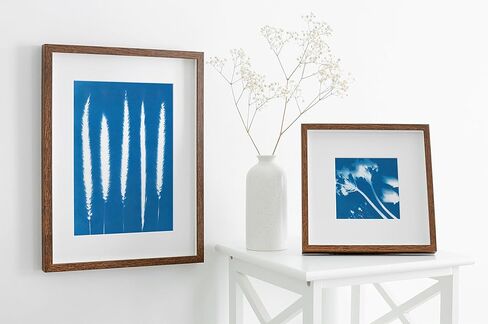 Cyanotype Kit A4 30 Sheets Tear-Resistant Cyanotype Paper Sylephioro Beginner-Friendly Crafts for Adults, Kids, Educators, and STEM Students in Saudi Arabia