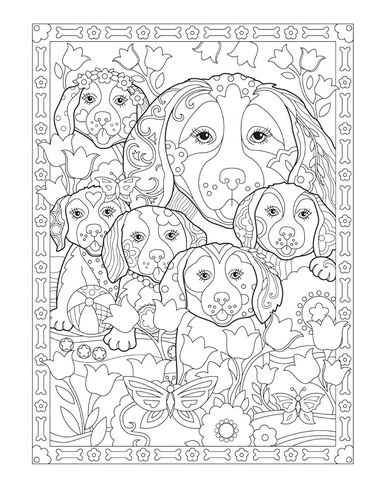 Creative Haven Playful Puppies Coloring Book: Relax & Find Your True Colors (Adult Coloring Books: Pets) in Saudi Arabia