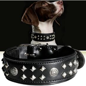 طوق للكلاب من الجلد الأصلي من EliteGuard، مقاس 2.2 بوصة مرصع يدويًا بإبزيم من الفولاذ المقاوم للصدأ، يمكن ارتداؤه يوميًا للكلاب الكبيرة، أسود M in Kuwait