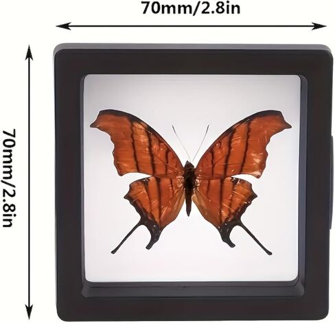 10 Pcs Floating Display Case, Black 3D Floating Frame Display Holder Stands Challenge Coin Displaing Stand for AA Medallions in Saudi Arabia