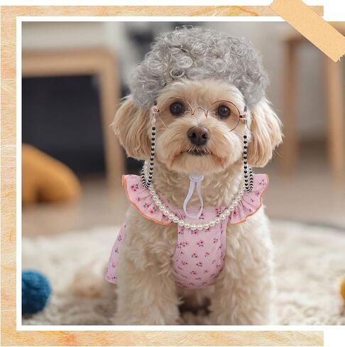 Ceenna 4 Pcs 100 Days of School Old Lady Dogs Costume Set Grandma Dogs Costume Set with Wig Dress Chain Glasses and Pearl Necklace for Halloween Festival Birthday Party for Small Dog Pets in Saudi Arabia