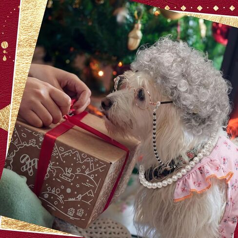 Ceenna 4 Pcs 100 Days of School Old Lady Dogs Costume Set Grandma Dogs Costume Set with Wig Dress Chain Glasses and Pearl Necklace for Halloween Festival Birthday Party for Small Dog Pets in Saudi Arabia