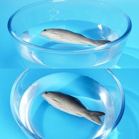 jiebor 6PCS Fake Fish Artificial Halloween Mode Rubber Sea Fish for Kitchen Home Market Display Decoration Photography Props in Saudi Arabia
