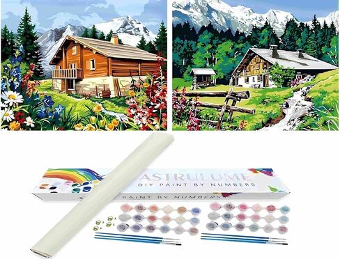 ASTRULUME 2 حزمة الطلاء بالأرقام عدة للبالغين المبتدئين، 12x16 بوصة قماش لرسم الحرف للبالغين لديكور المنزل هدية-باقات الزهور البيضاء رشيقة في المزهريات in Kuwait