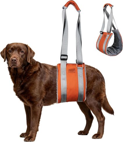 حبال الكلب للأرجل الخلفية، حزام رفع الكلب، شريط سحري لدعم الورك، لإعادة التأهيل لمساعدة كبار السن، المصابين، التهاب المفاصل، خلل التنسج الورك، الساق الخلفية الضعيفة، المعاقين، بعد جراحة الرباط الصليبي الأمامي/CCL، كلاب TPLO (بني، XL) in Kuwait