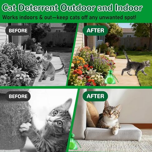 رادع القطط في الهواء الطلق، 10 عبوات من زيت النعناع الطبيعي العطري كرات ردع القطط والكلاب في الهواء الطلق في الداخل، تبقي القطط خارج الفناء ونباتات الحديقة وأثاث الحديقة والقمامة المضادة للخدش للقطط، تبقي القطط بعيدًا in Kuwait