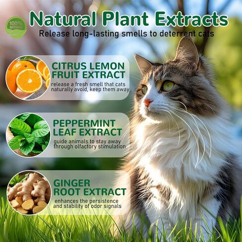 رادع القطط في الهواء الطلق، 10 عبوات من زيت النعناع الطبيعي العطري كرات ردع القطط والكلاب في الهواء الطلق في الداخل، تبقي القطط خارج الفناء ونباتات الحديقة وأثاث الحديقة والقمامة المضادة للخدش للقطط، تبقي القطط بعيدًا in Kuwait