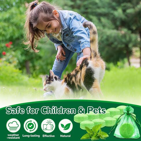 رادع القطط في الهواء الطلق، 10 عبوات من زيت النعناع الطبيعي العطري كرات ردع القطط والكلاب في الهواء الطلق في الداخل، تبقي القطط خارج الفناء ونباتات الحديقة وأثاث الحديقة والقمامة المضادة للخدش للقطط، تبقي القطط بعيدًا in Kuwait