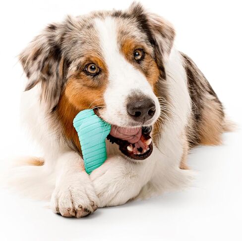 Playology Dog Toys | Variety Gift Box Set of Toys for Large Dogs | Jumbo Peanut Butter Scented Dual Layer Bone, Squeaky Chew Ball, and Chew Stick - Easy to Clean and Made from Non Toxic Material in Saudi Arabia
