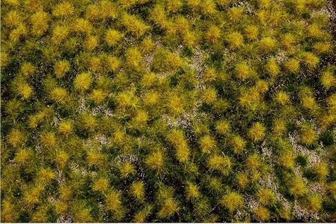 Bachmann Industries SceneScapes Tufted Dry Grass Mat in Saudi Arabia