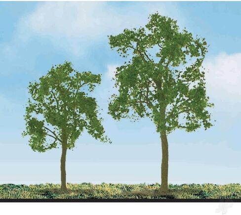 Professional Series: Ash Tree, 1" in Saudi Arabia