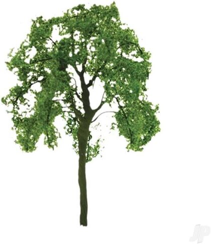 Professional Series: Ash Tree, 1" in Saudi Arabia