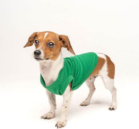 Drinking Buddy Shamrock Dog Tee Shirt | Sleeveless Breeds | St.Patrick's Day | Lucky | Shamrock | Irish Holiday |Green, 6X-Large 260 in Saudi Arabia