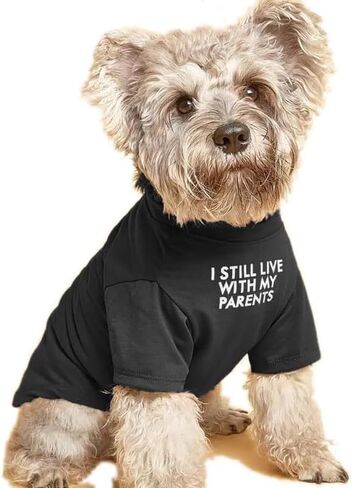 Cute Dog Clothes,Dog T Shirt for Medium Dogs. in Saudi Arabia