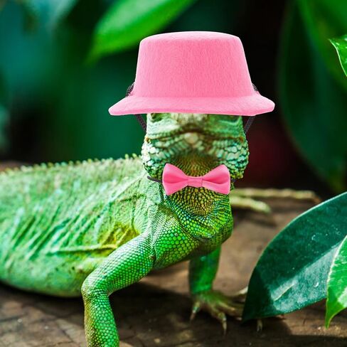 Bearded Dragon Harness and Leash Set with Adjustable Pink Bow Tie Hat, Portable Reptile Outdoor Walking Leash for Lizard Pets, Large Size Birthday Costume Accessories in Saudi Arabia