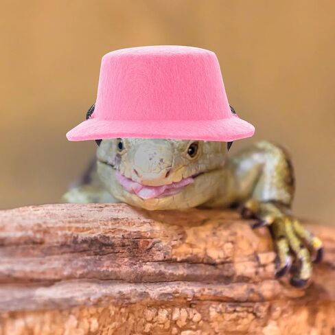 Bearded Dragon Harness and Leash Set with Adjustable Pink Bow Tie Hat, Portable Reptile Outdoor Walking Leash for Lizard Pets, Large Size Birthday Costume Accessories in Saudi Arabia