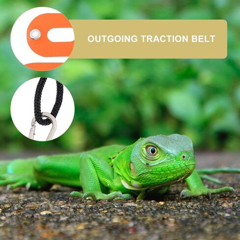 NUOBESTY 5pcs Adjustable Lizard Harness Leash Set, Reptile Wing Harness with Colorful Design, Lightweight Small Pet Traction Rope for Gecko and Other Small Reptiles Outdoors in Saudi Arabia