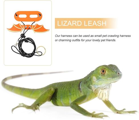 NUOBESTY 5pcs Adjustable Lizard Harness Leash Set, Reptile Wing Harness with Colorful Design, Lightweight Small Pet Traction Rope for Gecko and Other Small Reptiles Outdoors in Saudi Arabia