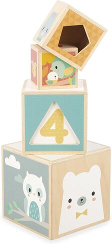Janod J05147 First Wooden Pyramid - 6 Cubes Stacking Toy - Develops Dexterity and Imagination - Early Ages 12 Months from 12 Months, Multi-Coloured in Saudi Arabia