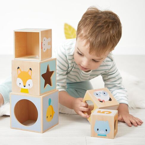 Janod J05147 First Wooden Pyramid - 6 Cubes Stacking Toy - Develops Dexterity and Imagination - Early Ages 12 Months from 12 Months, Multi-Coloured in Saudi Arabia