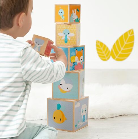 Janod J05147 First Wooden Pyramid - 6 Cubes Stacking Toy - Develops Dexterity and Imagination - Early Ages 12 Months from 12 Months, Multi-Coloured in Saudi Arabia
