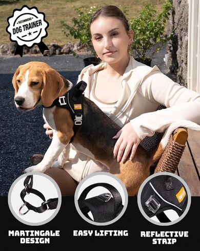 DF No Pull Martingale Dog Harness and Leash Set Silent Metal Buckle, Front Clip Reflective Harness, Adjustable Fit & Handle for Easy Walking & Training, Black, 1", Front Chest 19.7"-25.2" in Kuwait