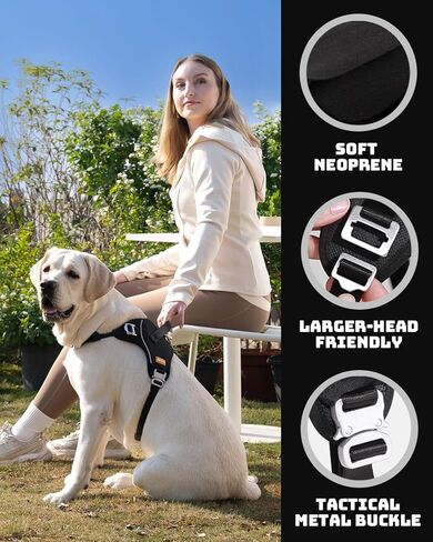 DF No Pull Martingale Dog Harness and Leash Set Silent Metal Buckle, Front Clip Reflective Harness, Adjustable Fit & Handle for Easy Walking & Training, Black, 1", Front Chest 19.7"-25.2" in Kuwait