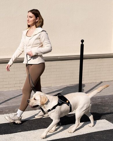 DF No Pull Martingale Dog Harness and Leash Set Silent Metal Buckle, Front Clip Reflective Harness, Adjustable Fit & Handle for Easy Walking & Training, Black, 1", Front Chest 19.7"-25.2" in Kuwait