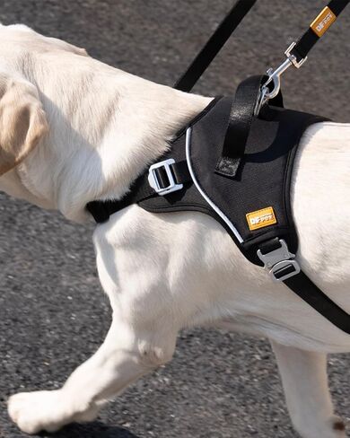 DF No Pull Martingale Dog Harness and Leash Set Silent Metal Buckle, Front Clip Reflective Harness, Adjustable Fit & Handle for Easy Walking & Training, Black, 1", Front Chest 19.7"-25.2" in Kuwait