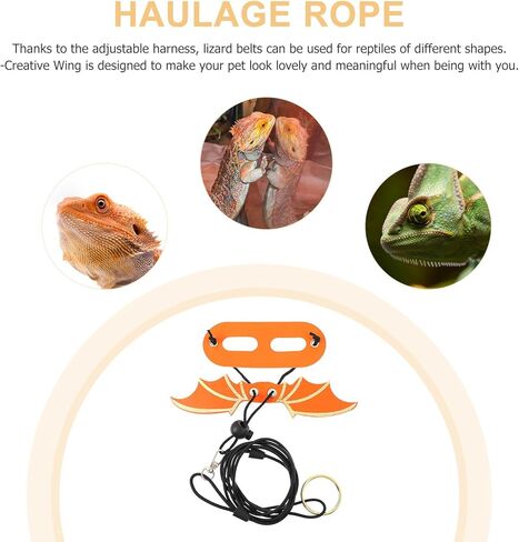 MERRYHAPY Lizard Wing Harness Leash Set 5pcs Adjustable Reptile Harness with Colorful Wings for Small Pets Outdoor Walks Suitable for Geckos and Lizards in Saudi Arabia