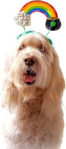 Midlee St. Patrick's Rainbow Pot of Gold Dog Headband Costume in Saudi Arabia
