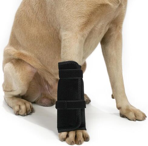 Dog Front Leg Knee Brace with Aluminum Splint for Post-Surgery Recovery, Front Leg Support Wrap to an Alternative to a cast, Adjustable Straps for Joint Protection and Healing (Black, M) in Saudi Arabia