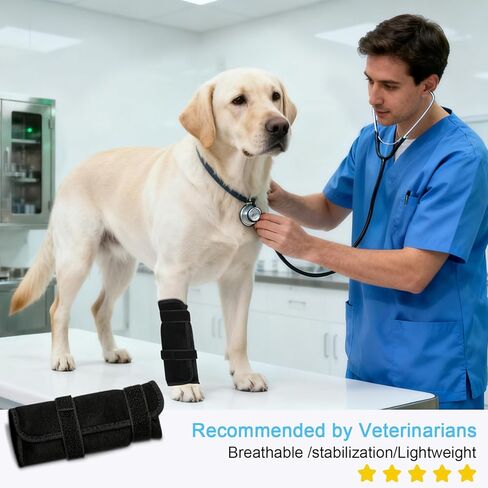 Dog Front Leg Knee Brace with Aluminum Splint for Post-Surgery Recovery, Front Leg Support Wrap to an Alternative to a cast, Adjustable Straps for Joint Protection and Healing (Black, M) in Saudi Arabia
