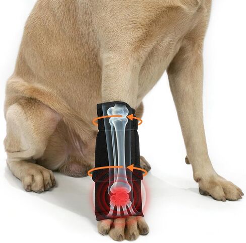 Dog Front Leg Knee Brace with Aluminum Splint for Post-Surgery Recovery, Front Leg Support Wrap to an Alternative to a cast, Adjustable Straps for Joint Protection and Healing (Black, M) in Saudi Arabia