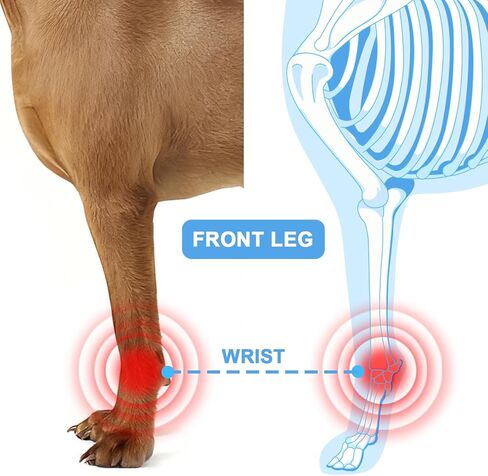 Dog Front Leg Knee Brace with Aluminum Splint for Post-Surgery Recovery, Front Leg Support Wrap to an Alternative to a cast, Adjustable Straps for Joint Protection and Healing (Black, M) in Saudi Arabia